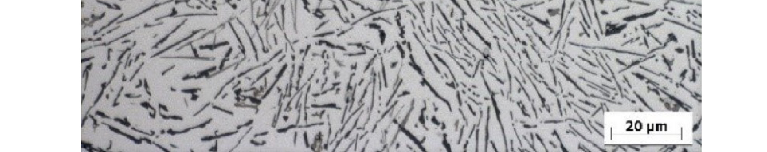 the-Aluminum-Silicon-AlSi12-Alloy-Microstructure