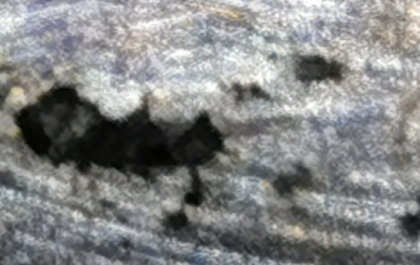 Porosity formed by Shrinkage of an Aluminum Die Cast Part-